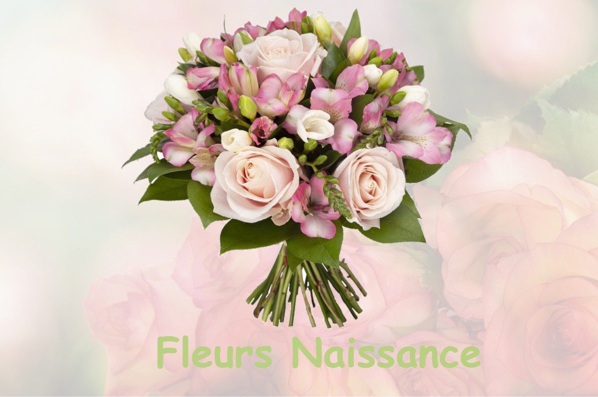 fleurs naissance MAUSSANE-LES-ALPILLES